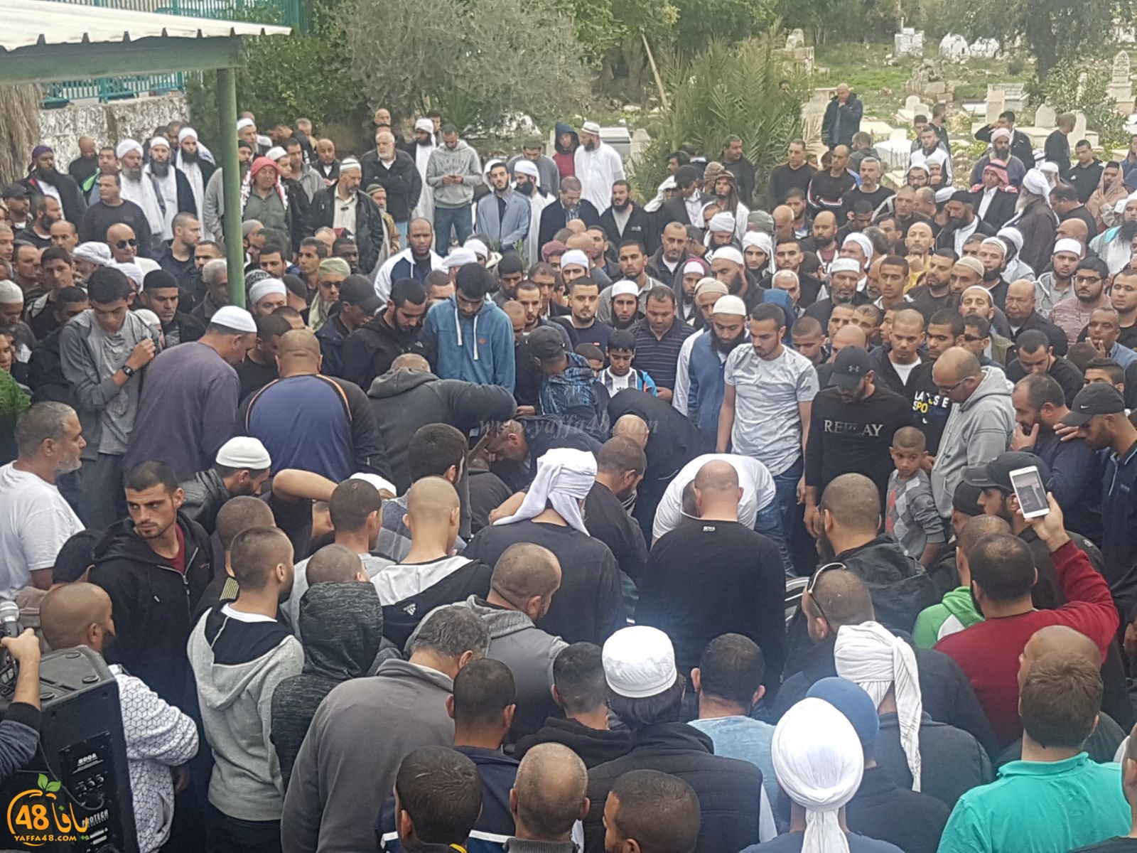 tasheeye3 om mhmoud (20).jpg